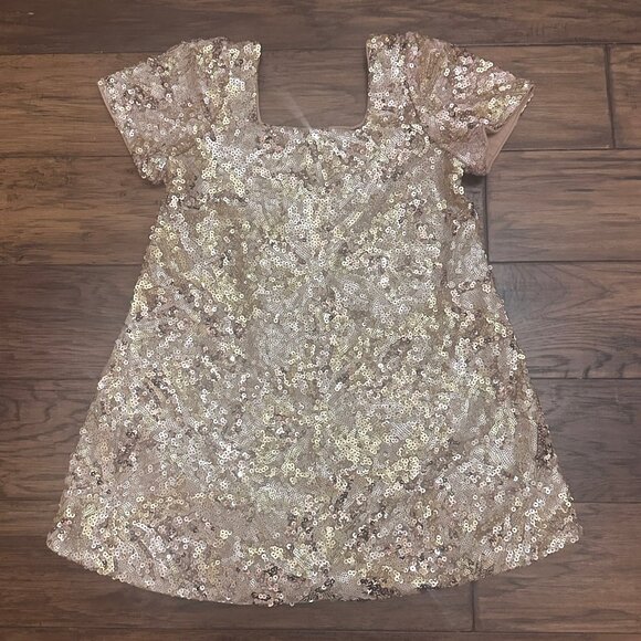 Noralee Other - Noralee EUC Sequin Bronze Daisy Dress